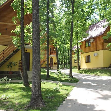Вілія Hotel Lomachintsy Bagian luar foto