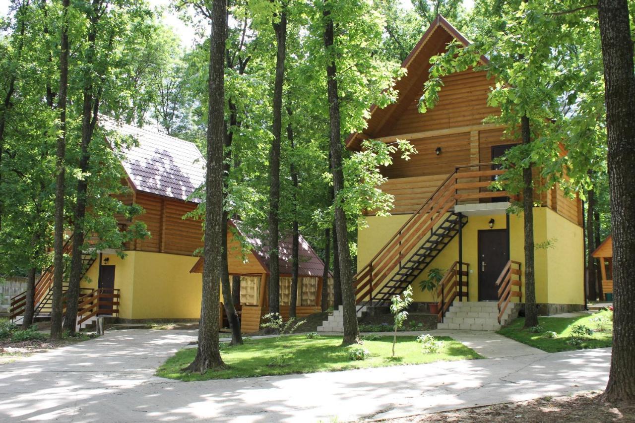 Вілія Hotel Lomachintsy Bagian luar foto