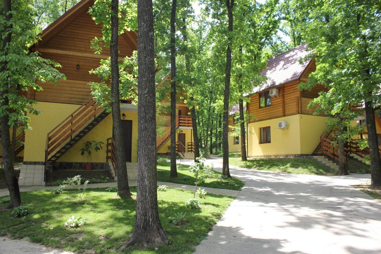 Вілія Hotel Lomachintsy Bagian luar foto